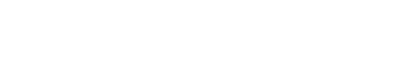All Access Entertainment logo